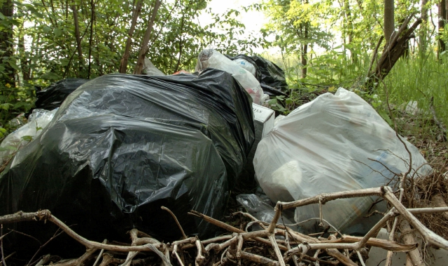 Sacchi nei boschi e in basso parte dei rifiuti raccolti dai volontari di Strade pulite