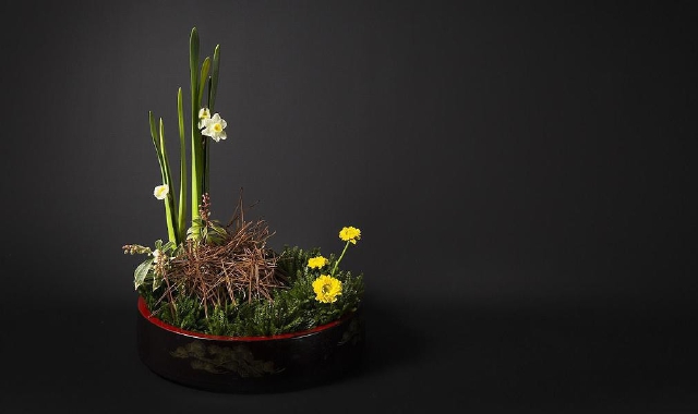 Ikebana: capire l’arte giapponese dei fiori