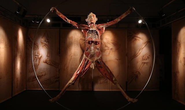 Il successo di Real Bodies fino a fine febbraio