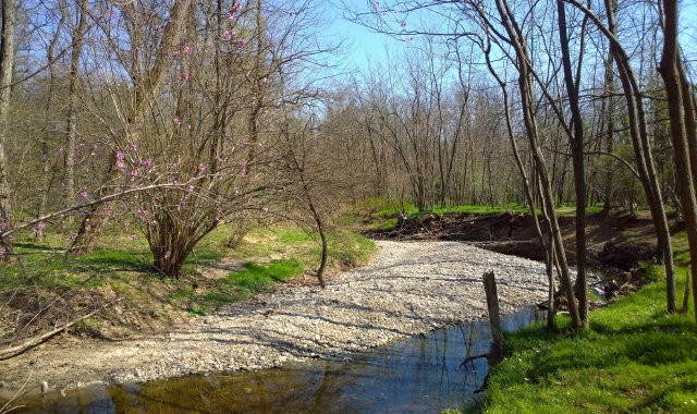 Il Bosco del Rugareto