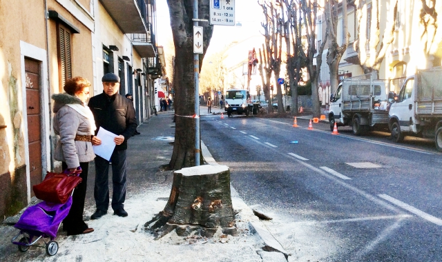 Domani in via Roma ci sarà un’ultima passeggiata per salvare gli alberi (Blitz)