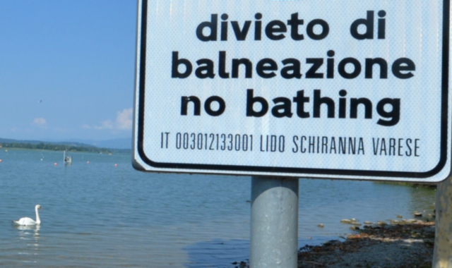 Il sogno è tornare a fare il bagno nel Lago di Varese