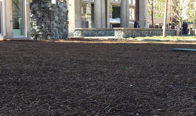 L’aiuola ai piedi dell’Uomo eroico sembra una steppa al disgelo. Tra le piante coriandoli e mozziconi