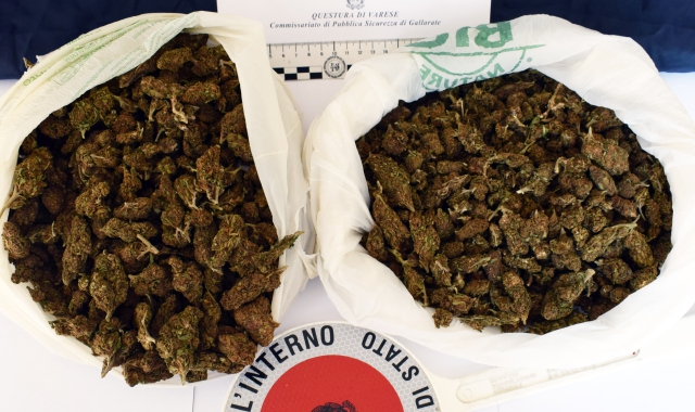 Nell’abitazione di uno degli indagati è stato rinvenuto mezzo chilo di marijuana