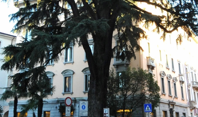 Il Piantone di via Veratti, un simbolo della città giardino