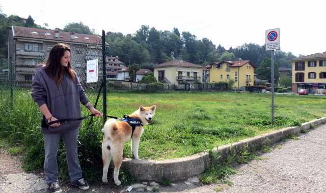 Il prato comunale nel rione San Cassano dove vengono portati a giocare i cani  (Foto Blitz)
