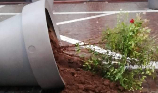 Un vasone del centro gallaratese finito sabato notte nel mirino dei vandali