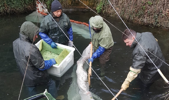 I pescatori all’opera alla piscicoltura di Maccagno con Pino e Veddasca