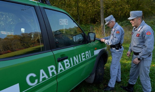 Il provvedimento è stato eseguito dai carabinieri forestali (Archivio)