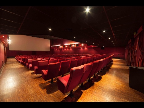Siae, 2018 a luci e ombre,cinema è crisi