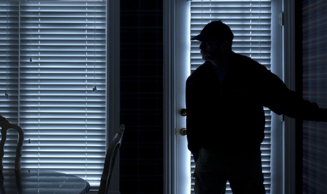 Topi d’appartamento in azione(Redazione)