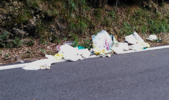 I sacchi lungo la strada strappati dagli animali selvatici (Foto Blitz)