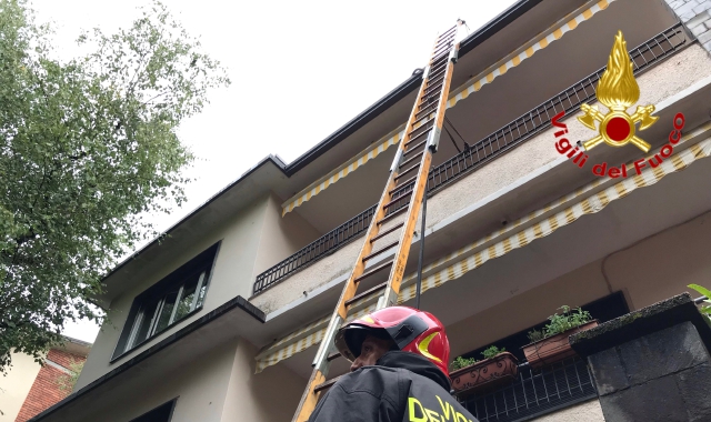 Le fiamme sono state domate dai vigili del fuoco (Vdf)