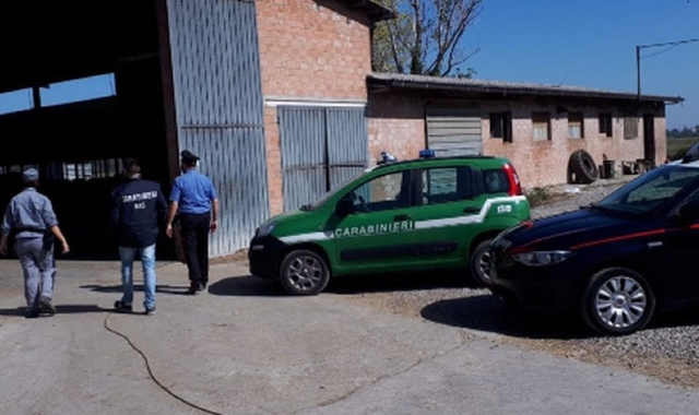 I carabinieri nell’azienda agricola