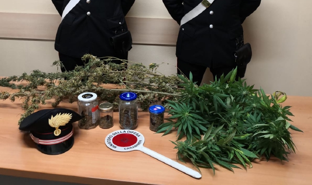 La droga sequestrata dai carabinieri di Busto Arsizio