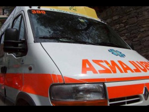 Aggredito da due cani, muore anziano