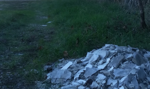 Imbrattatori e rifiuti nel futuro parco
