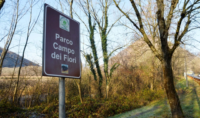 La provincia di Varese è prima in Lombardia per presenza di foreste urbane (Foto Archivio)