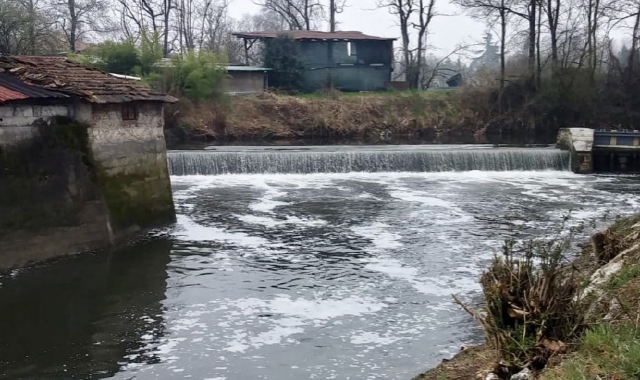 Chiazze schiumose segnalate in più punti nell’Olona (Pubblifoto)