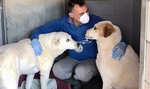 Nella struttura di via Caduti della Liberazione manca materiale 