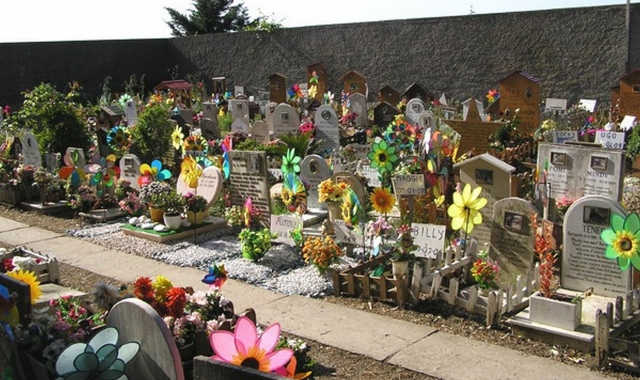 Un cimitero per il cane estinto