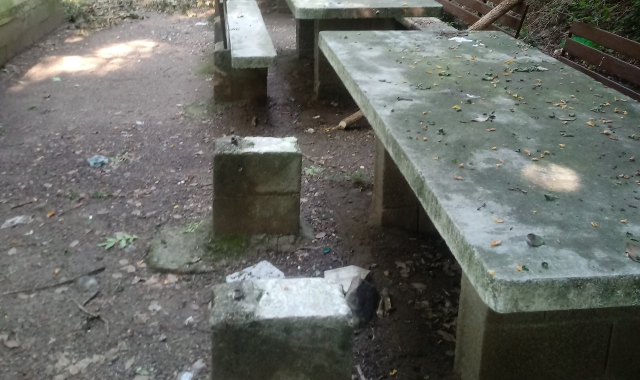 I vandali fanno festa nel parco 6