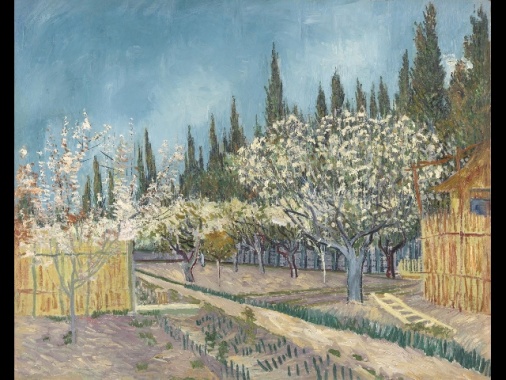 Van Gogh a Padova e l'eroismo dell'arte