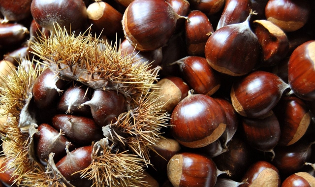 Freddo, sole e... castagne