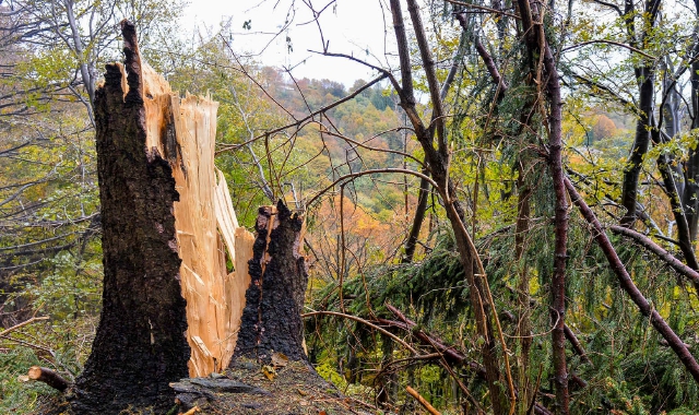 Montagna ferita: caccia ai fondi