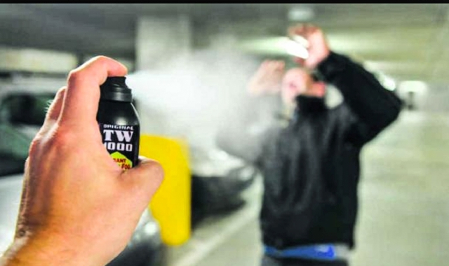 Rapinatori con lo spray ricercati dai carabinieri (Archivio)