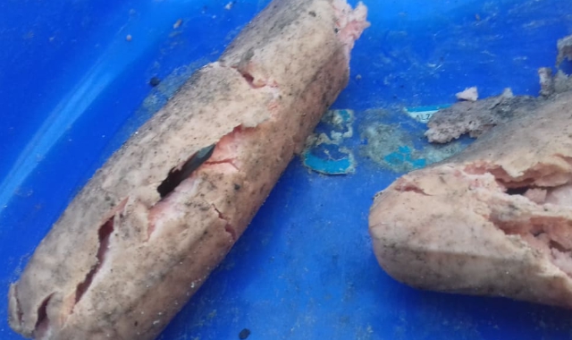 I pezzi di carne trovati per terra come  esca per i cani  (foto Redazione)