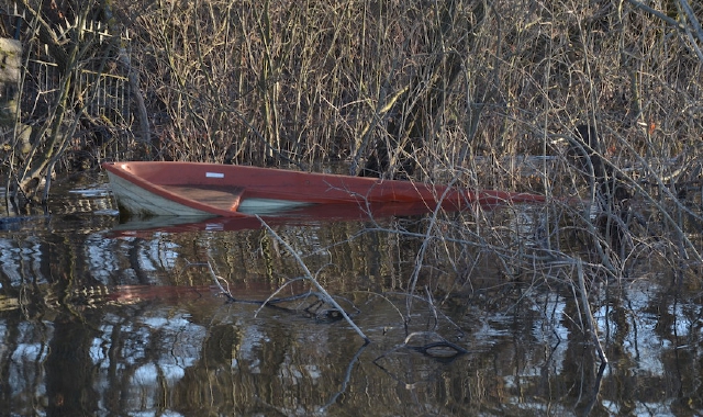 Relitti nel canneto sul lago di Varese (Red.)