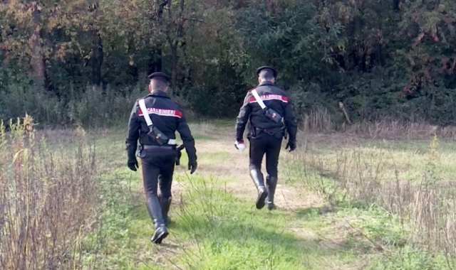 Carabinieri nel bosco (foto Archivio)