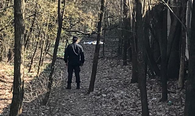 Un carabiniere nel bosco (foto Archivio)