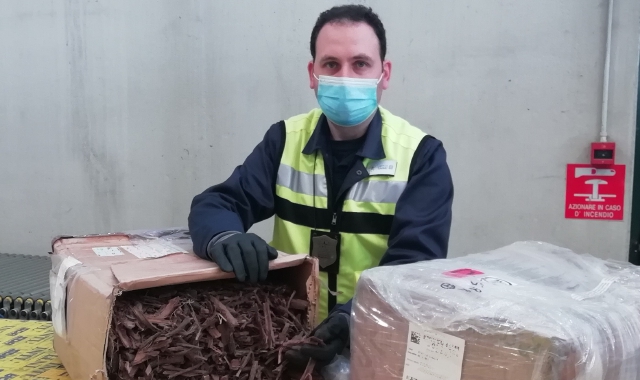 Il carico di Dmt sequestrato a Malpensa (foto Redazione)