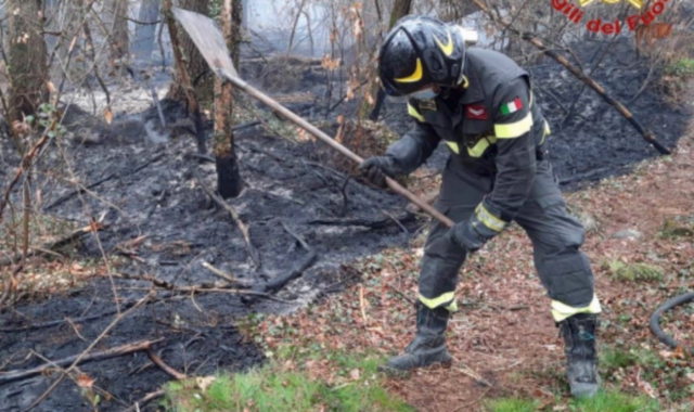 Un vigile del fuoco all’opera nel Parco del Ticino (foto Redazione)