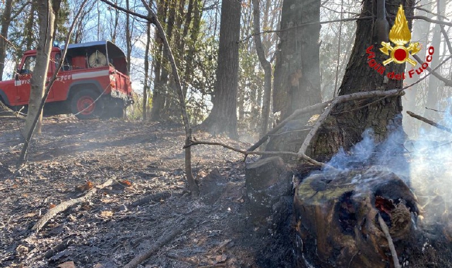 L’incendio domato nei boschi di Cadegliano Viconago (foto Redazione)