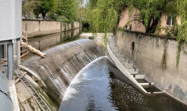 La scala per i pesci montata sulla diga di via Pontida (Pubblifoto)