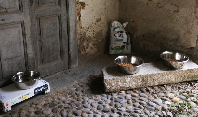I recipienti per il cibo dei gatti alle Fattorie Visconti(foto Redazione)