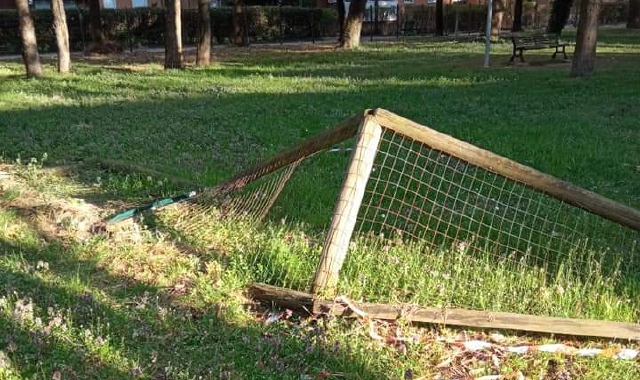Aree cani: reti rotte e pericoli