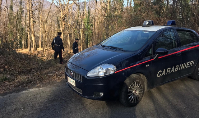 Droga nei boschi: sette arresti