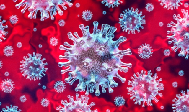 Migliorano i dati della pandemia (foto Archivio)