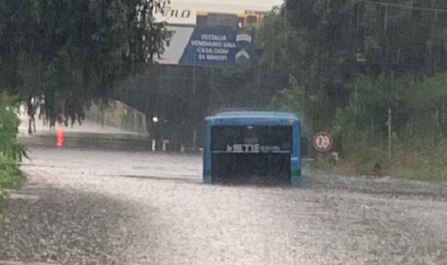 L’autobus della Stie a mollo nel sottopasso allagato di via Tasso (foto Blitz)