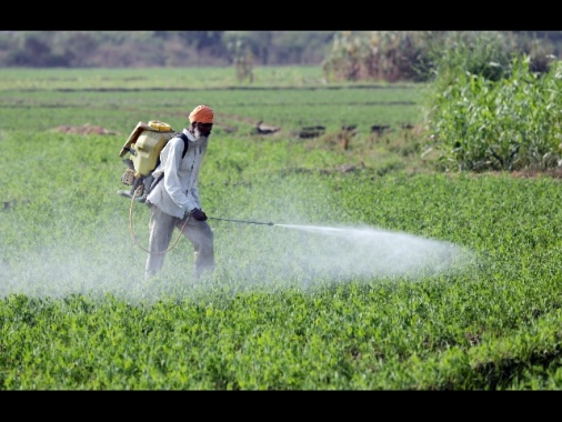 Svizzera:sondaggio, respinto referendum su divieto pesticidi