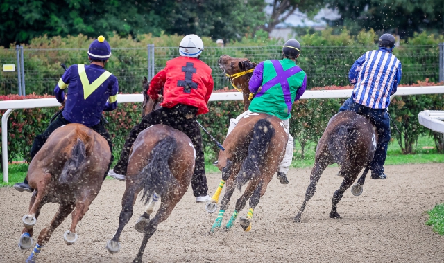 Domenica i cavalli tornano in pista: a lato, il mossiere Gennaro Milone (Pubblifoto)