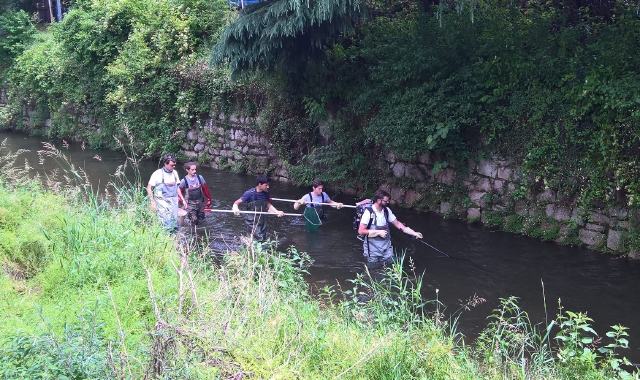 Analisi ittica e delle acque del torrente Boesio (foto Archivio)