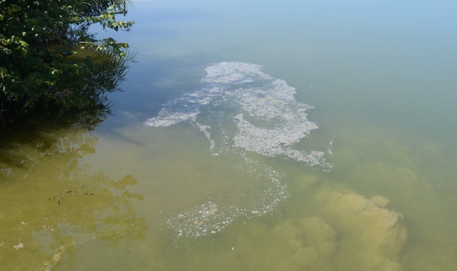 Le chiazze maleodoranti nel lago