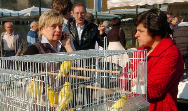 Da decenni la sagra settembrini attira parecchia gente nel più piccolo dei centri di Cairate: da quando è scoppiata la pandemia è stata sospesa, restano gli appuntamenti religiosi (foto Blitz)