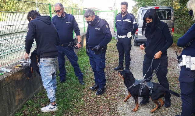 Operazione di “pulizia” nel bosco della droga fra Saronno e Ceriano Laghetto: recuperato il telefonino di un pusher  (foto Blitz)