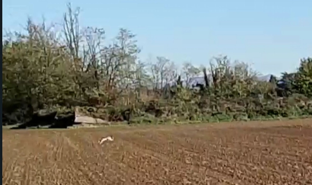 Samarate, a caccia vicino ai passanti